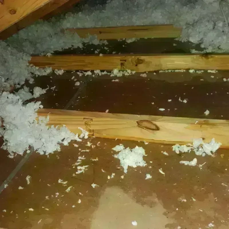 Attic Water Damage in Sherman County, OR