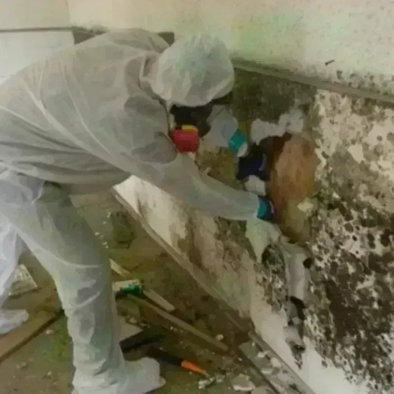 Mold Remediation and Removal in Sherman County, OR