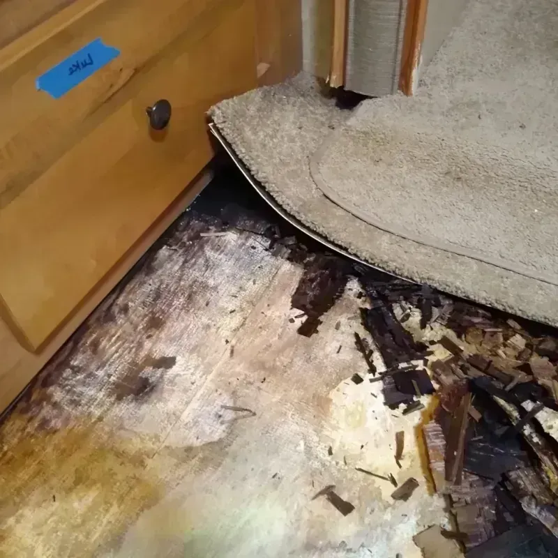 Wood Floor Water Damage in Sherman County, OR